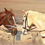 WhatsApp Image 2022-04-10 at 7.33.49 PM WhatsApp Image 2022-04-10 at 7.33.49 PM